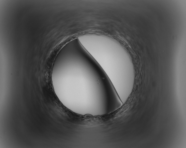 X0000085051159200703051039