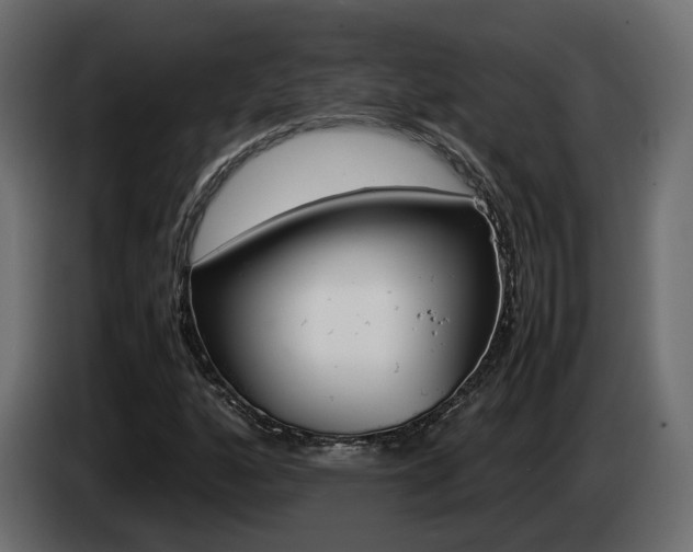 X0000085051160200703051039