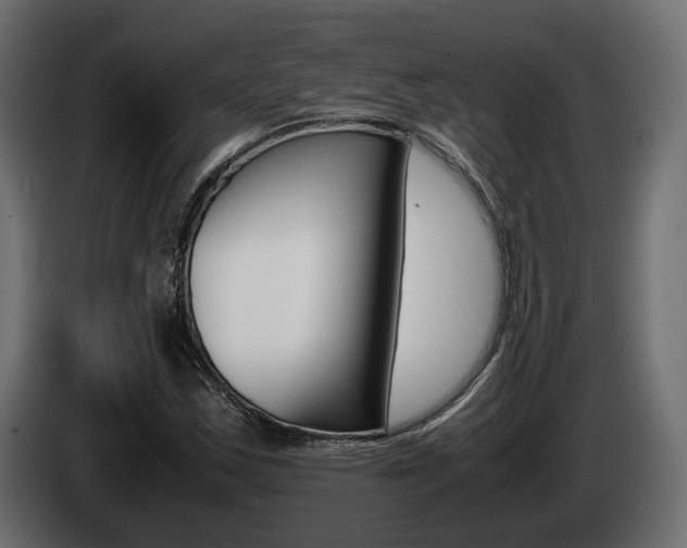 X0000085051163200703051039