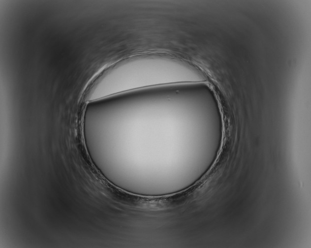 X0000085051165200703051039