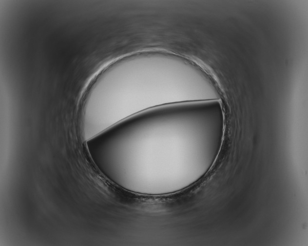X0000085051167200703051039
