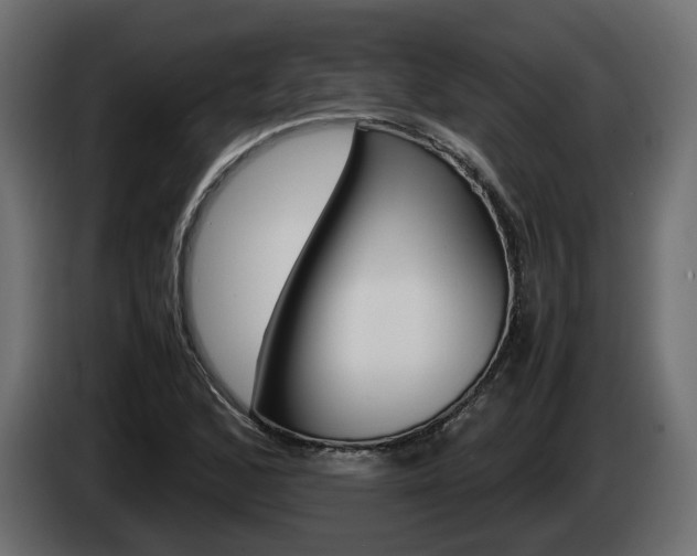 X0000085051168200703051039
