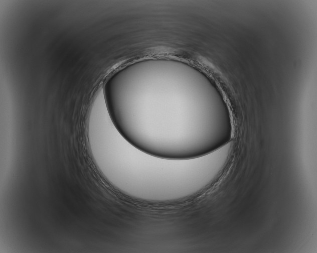 X0000085051169200703051039