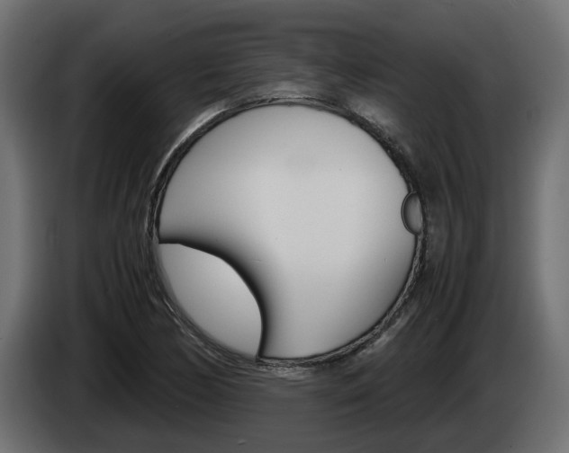 X0000085051170200703051039