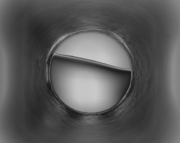 X0000085051171200703051039