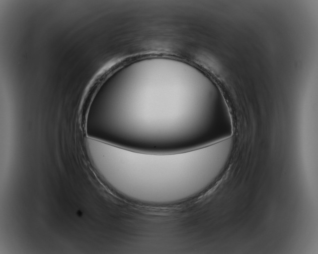 X0000085051172200703051039