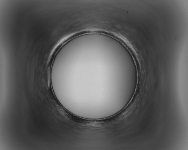 X0000085051175200703051039