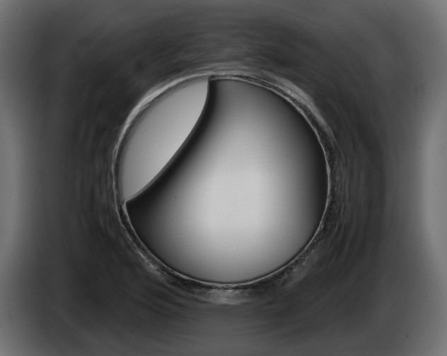 X0000085051176200703051039
