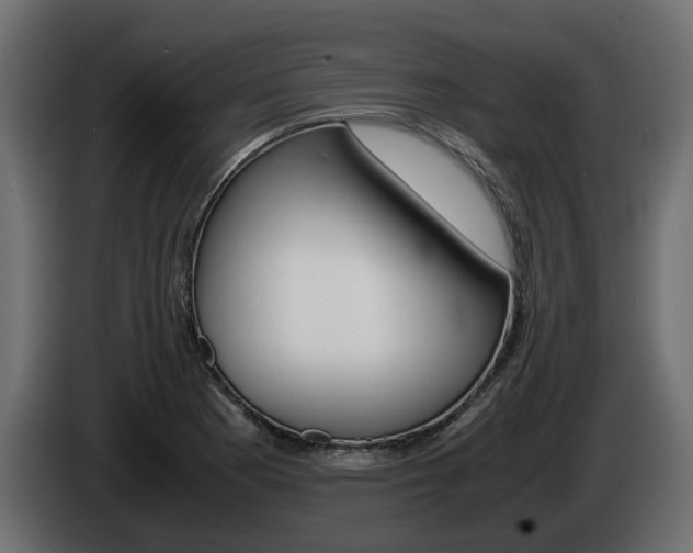 X0000085051177200703051039