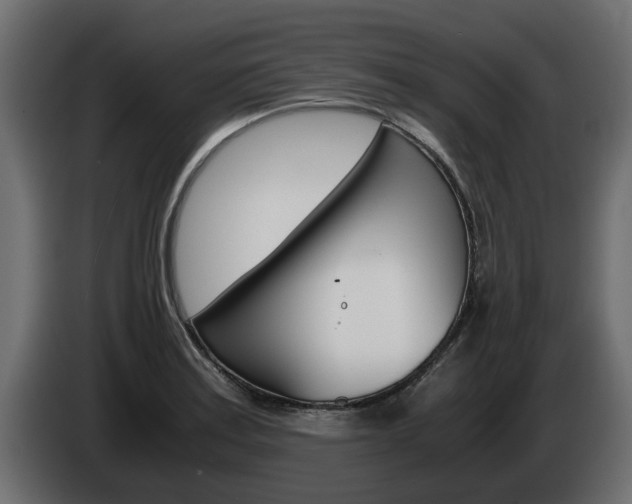 X0000085051179200703051039
