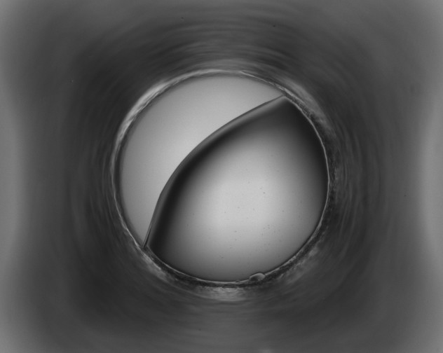 X0000085051180200703051039