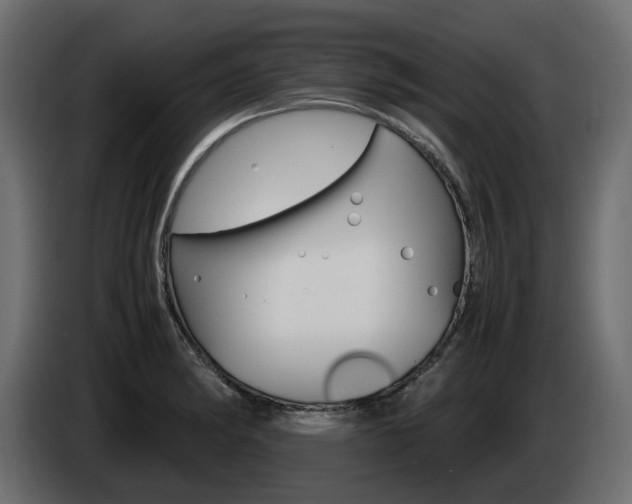 X0000085051182200703051039