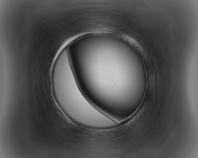 X0000085051184200703051039