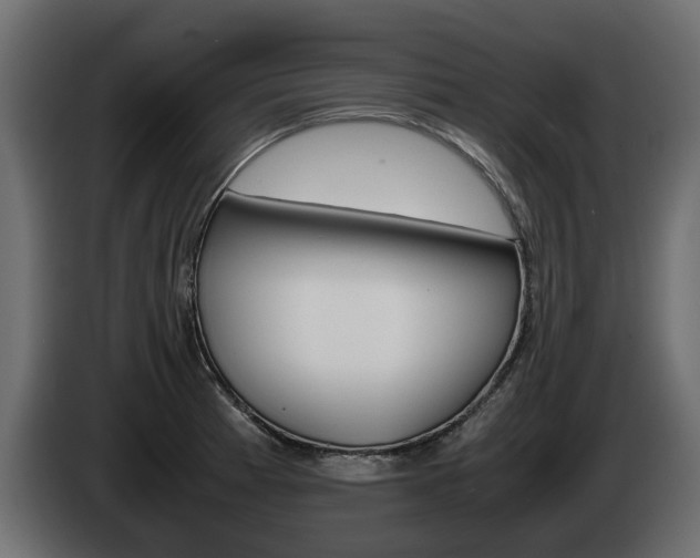 X0000085051185200703051039