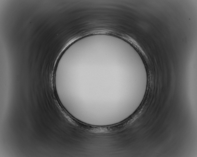 X0000085051186200703051039