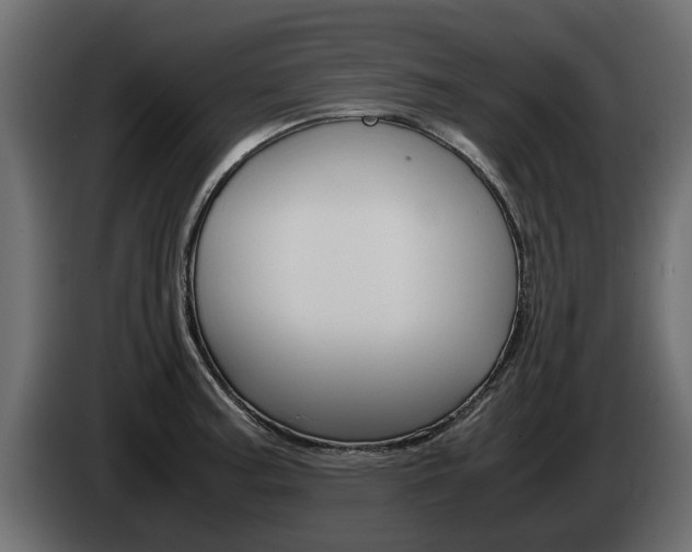 X0000085051187200703051039