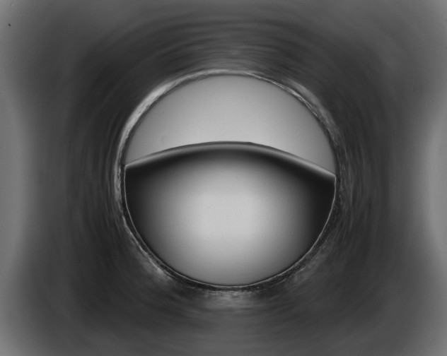 X0000085051188200703051039
