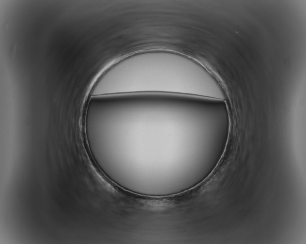 X0000085051189200703051039