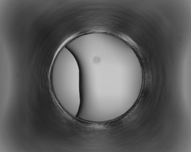 X0000085051190200703051039