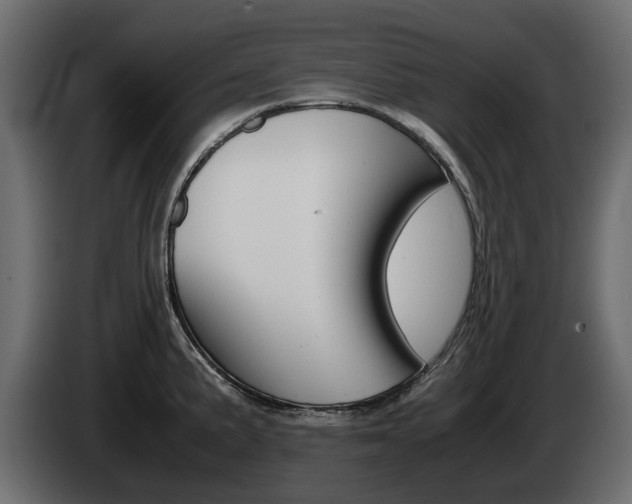 X0000085051191200703051039