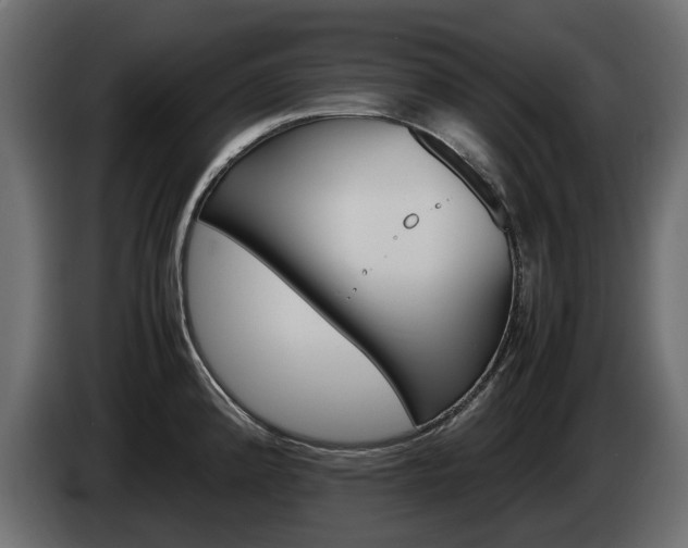 X0000085051192200703051039