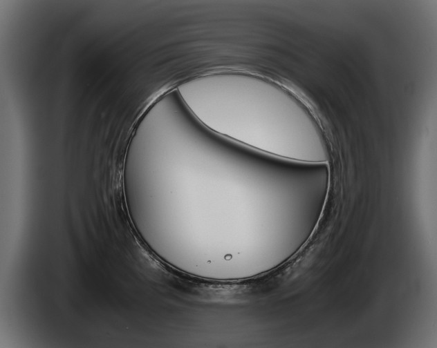 X0000085051193200703051039