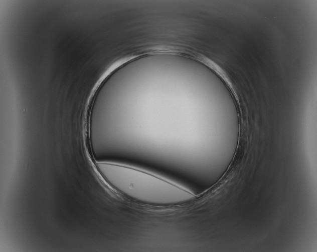 X0000085051195200703051039