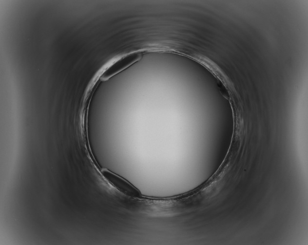 X0000085051196200703051039