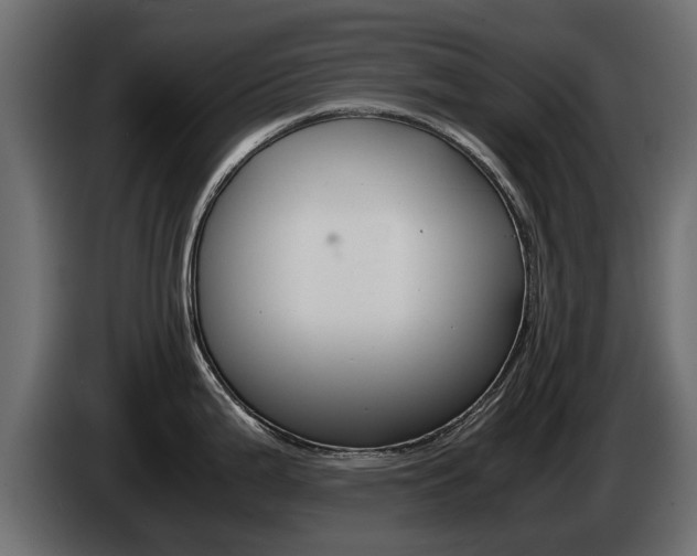 X0000085051199200703051039
