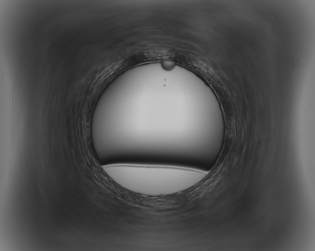 X0000085051201200703051038