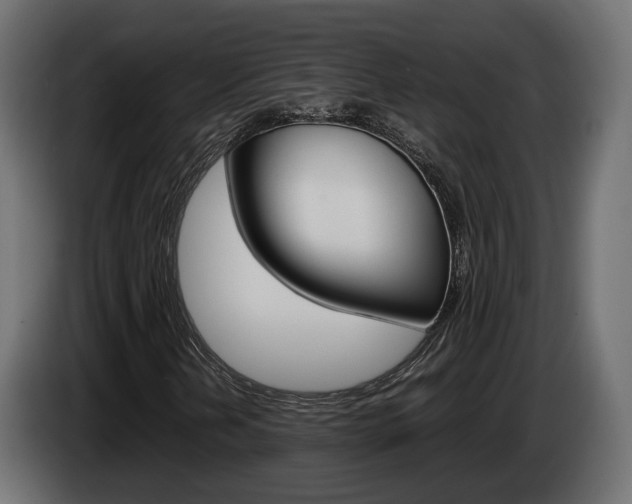 X0000085051202200703051038