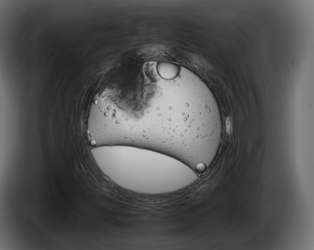 X0000085051203200703051038