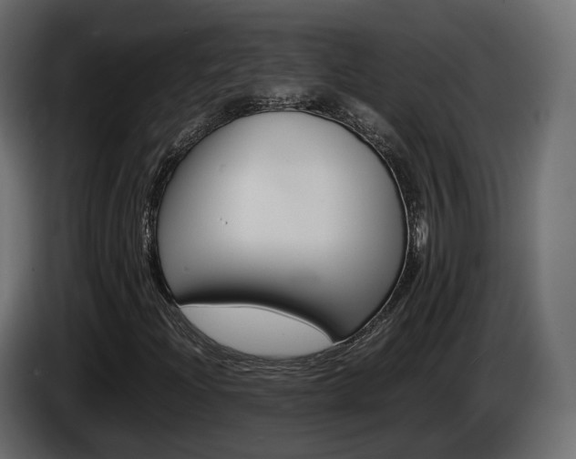 X0000085051204200703051038