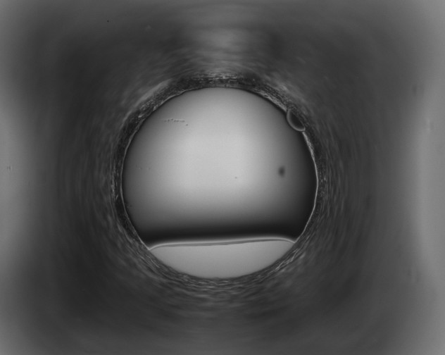 X0000085051205200703051038