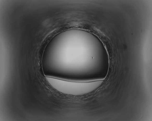 X0000085051206200703051038
