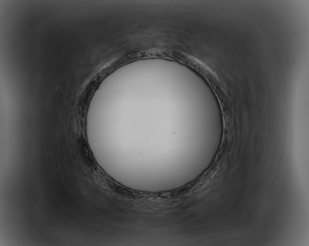 X0000085051207200703051038