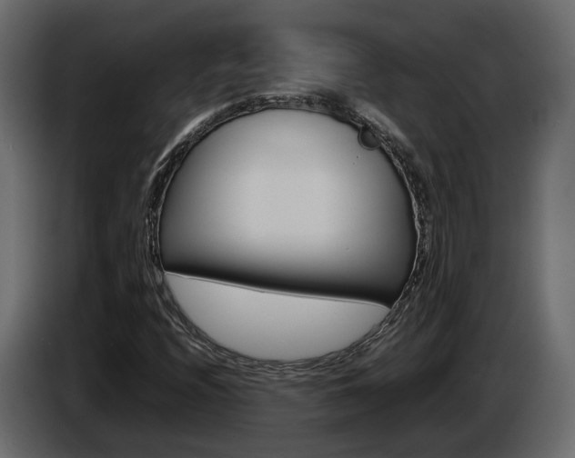 X0000085051208200703051038