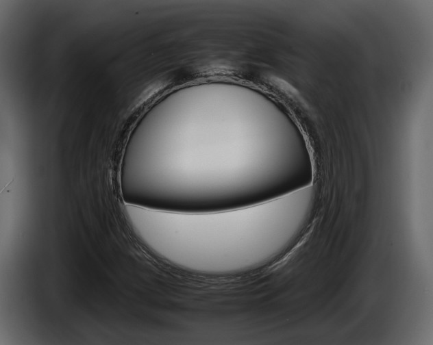 X0000085051209200703051038
