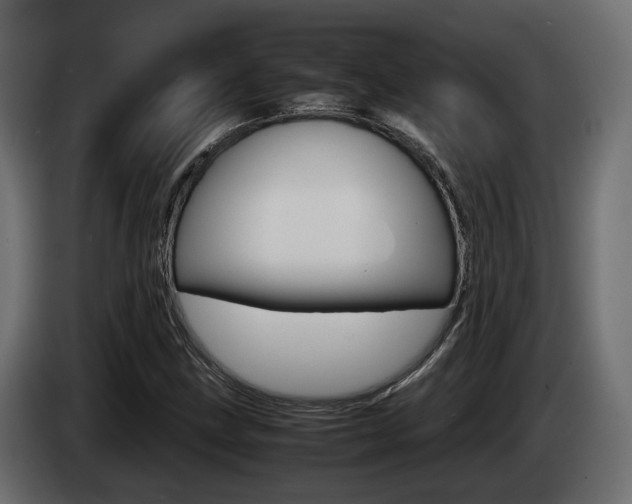 X0000085051211200703051038