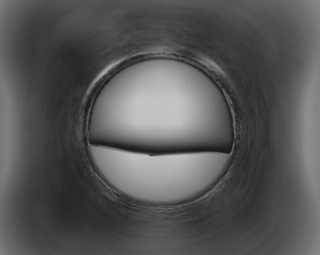 X0000085051216200703051038