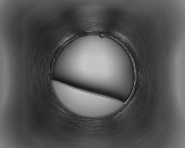 X0000085051217200703051038