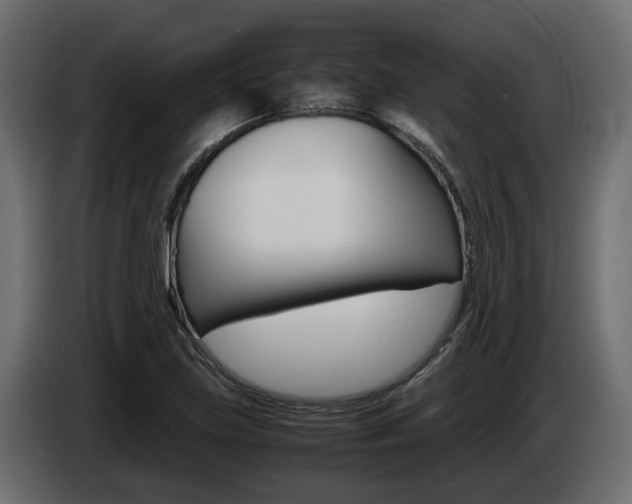 X0000085051219200703051038