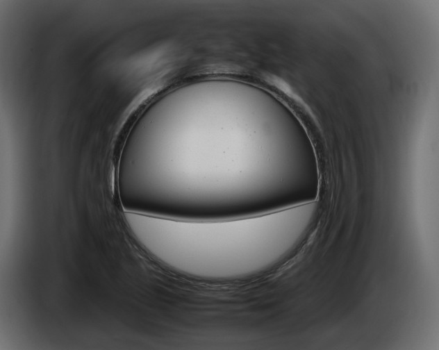 X0000085051221200703051038