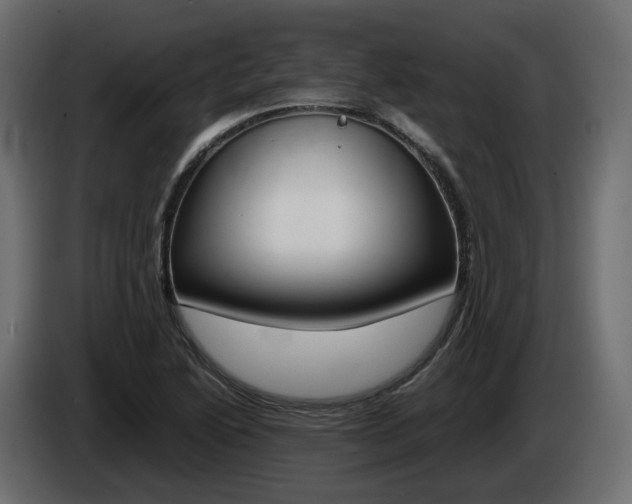X0000085051222200703051038