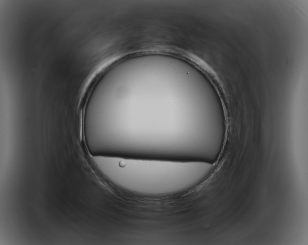 X0000085051223200703051038