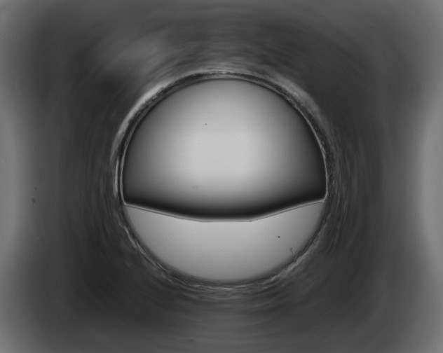 X0000085051224200703051038