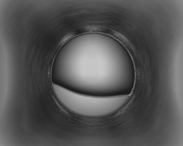 X0000085051225200703051038