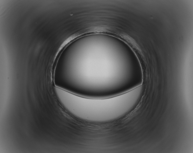 X0000085051226200703051038