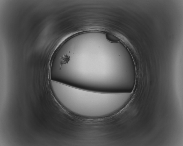 X0000085051228200703051038