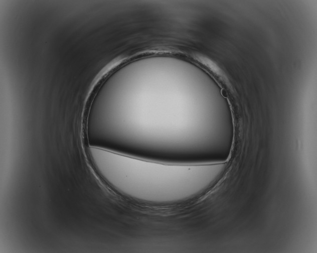 X0000085051229200703051038